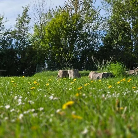 Fuglsang Langeland דירה Tranekær