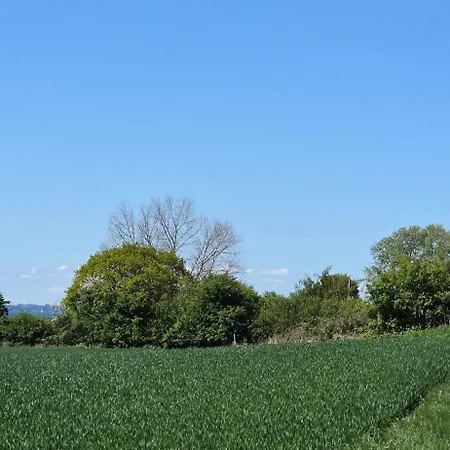 Fuglsang Langeland Lägenhet *