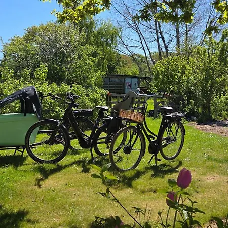 Fuglsang Langeland Tranekær